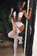 Foto Immagine Adhara Trans D�sseldorf 004915212409124 - 63