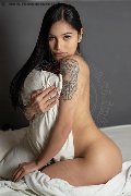 Foto Immagine Akita Trans Asiatica Trans Padova 3894245796 - 1