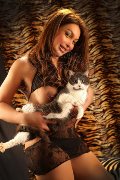 Foto Immagine Alessa Venezuelana Escort Verbania 3533541305 - 34