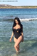 Foto Immagine Alessandre Xxii Trans Gallarate 3317852006 - 57