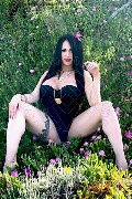 Foto Immagine Alessandre Xxii Trans Gallarate 3317852006 - 36