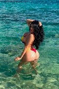 Foto Immagine Alessandra Xxii Transescort Gallarate 3317852006 - 41