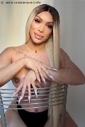Foto Immagine Angel Bunny Transescort Milano 3474642611 - 1