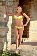 Foto Immagine Ariadna D'alessandro Transescort Perugia 3925046434 - 83