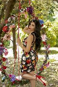 Foto Immagine Ariadna Trans Bologna 3887519396 - 76