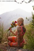 Foto Immagine Ath�na Transescort Milano 3270729765 - 3