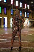 Foto Immagine Ath�na Transescort Milano 3270729765 - 16