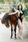 Foto Immagine Biancaladyboy Transescort Pordenone 3932233064 - 6