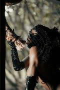 Foto Immagine Campbell Transescort Padova 3933357541 - 147