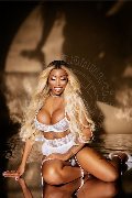 Foto Immagine Campbell Transescort Padova 3933357541 - 95