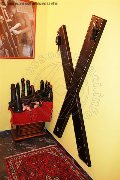 Foto Immagine Catadeya Mistresstrans Roma 3387905590 - 40