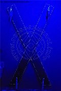 Foto Immagine Catadeya Mistresstrans Roma 3387905590 - 27
