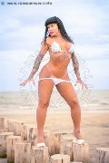 Foto Immagine Diana Marini Transescort Roma 3280291220 - 50