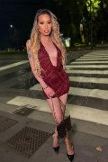 Foto Immagine Duda Castro Transescort Milano 3293898373 - 10