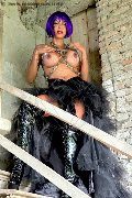 Foto Immagine Erotika Flavy Star Trans Bergamo 3387927954 - 57