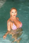 Foto Immagine Gaja Trans Ibiza 0034674836068 - 22