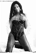 Foto Immagine Graicy Ohara Pornostar Transescort Colonnella 3897696422 - 9