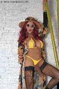 Foto Immagine Hot Amora Trans Aosta 3924368588 - 18