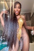 Foto Immagine Hot Campbell Transescort Padova 3933357541 - 19
