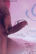 Foto Immagine Hot Luanasereia Trans Porto 00351932131249 - 2
