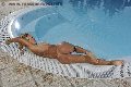 Foto Immagine Hot Luisa Mello Transescort Lido Di Savio 3296258381 - 22