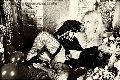 Foto Immagine Hot Trans Evolution Trans Bari 3911863087 - 17