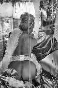 Foto Immagine Hot Trans Evolution Trans Bari 3911863087 - 23