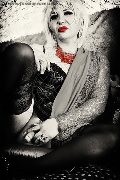 Foto Immagine Hot Trans Evolution Trans Bari 3911863087 - 55