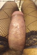 Foto Immagine Hot Virna La Super Dotata Trans Milano 3494393969 - 3