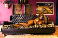 Foto Immagine Jessica Aryani Transescort Brescia 3932507943 - 18