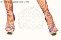 Foto Immagine Jessica Schizzo Mistresstrans 3423267672 - 13