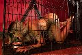 Foto Immagine Juliana Transescort Lucca 3886533172 - 23