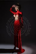 Foto Immagine Karollayne Arruda Transescort Milano 3277205075 - 41