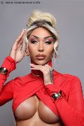 Foto Immagine Karollayne Arruda Transescort Milano 3277205075 - 39