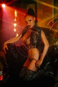 Foto Immagine Kartika Trans Brescia 3492231753 - 6