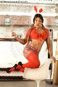 Foto Immagine Kate Trav Milano 3519323214 - 35