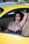 Foto Immagine Kim Tifany Trans Amsterdam 3447063881 - 2