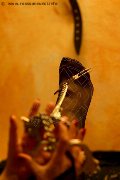 Foto Immagine Lady De Sade Italy Mistress Marina Di Carrara 3392160761 - 6