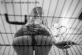 Foto Immagine Lady Giuliette Mistress Verona 3486833721 - 16