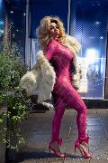 Foto Immagine Lady Greice Transescort Isernia 3280271923 - 24