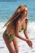 Foto Immagine Liisa Asiatica Ladyboy Trans 3489026722 - 320