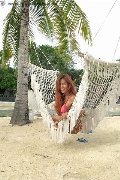 Foto Immagine Liisa Asiatica Ladyboy Transescort 3489026722 - 369