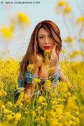 Foto Immagine Monica Kicelly Transescort Parma 3245833097 - 202