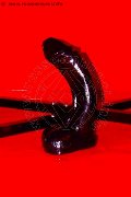 Foto Immagine Nadja Shark Mistress Budapest 0036204358279 - 75