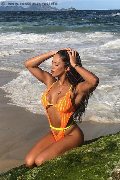 Foto Immagine Natty Collin Transescort Avignone 0033785226903 - 2