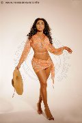 Foto Immagine Natyelle Ninfeta Trans Roma 3891178249 - 37