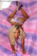 Foto Immagine New Raffaella Trans Offenbach 004915143341120 - 8