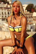 Foto Immagine Nina La Divina Trans Ibiza 0034617911341 - 156