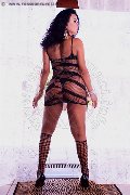 Foto Immagine Pamela Trans Fitness Trans Alessandria 3511205888 - 93