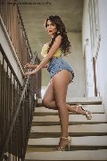 Foto Immagine Pamy Trans Genova 3891473351 - 67